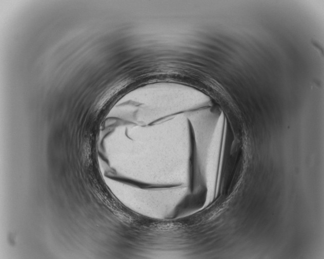 X0000100210826200806201443