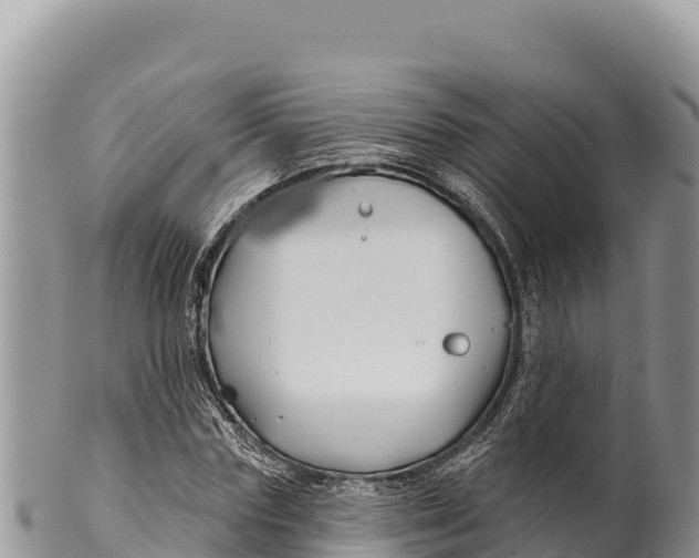 X0000100210827200806201443