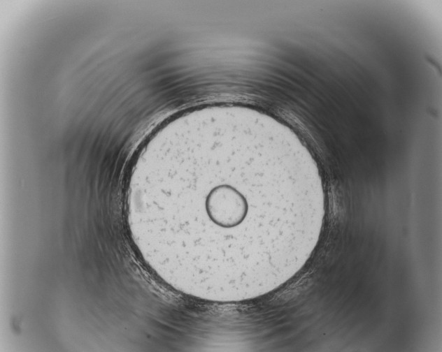 X0000100210828200806201443