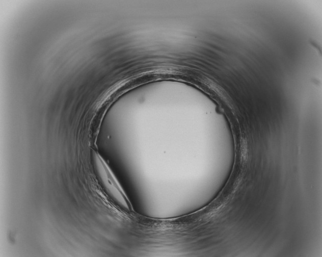 X0000100210829200806201443