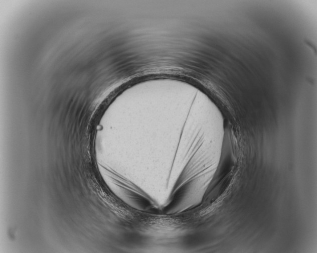 X0000100210830200806201443