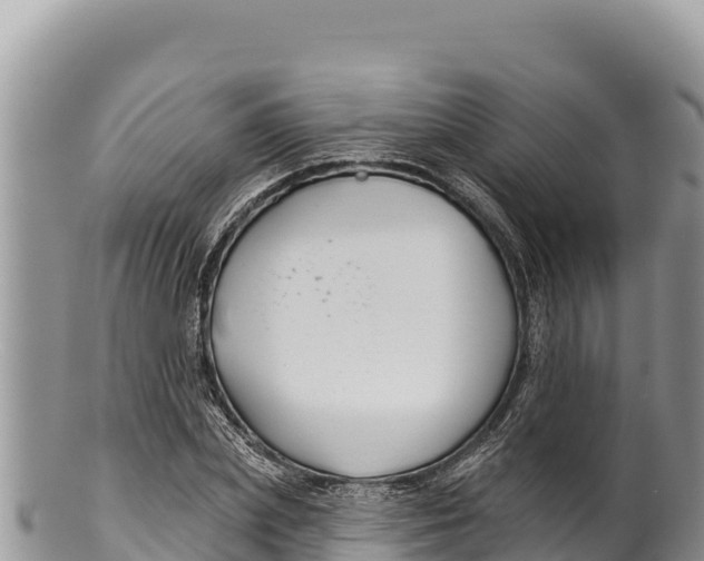 X0000100210831200806201443