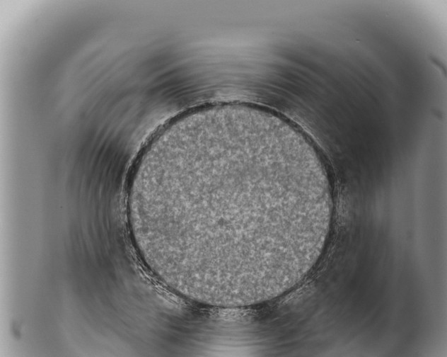 X0000100210832200806201443