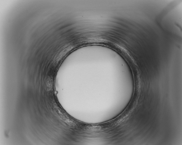 X0000100210833200806201443