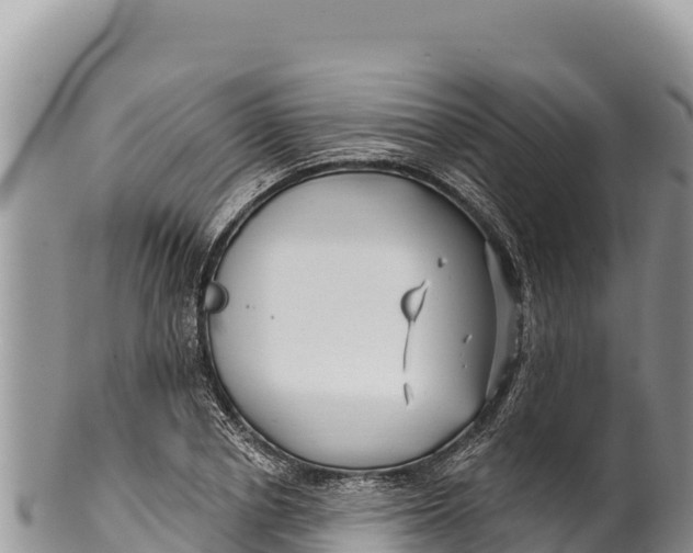 X0000100210834200806201443