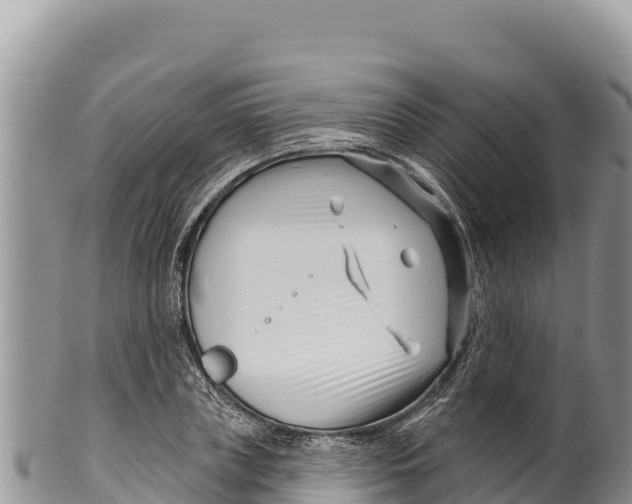 X0000100210835200806201443