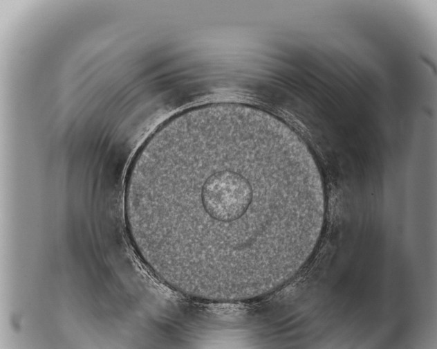 X0000100210836200806201443