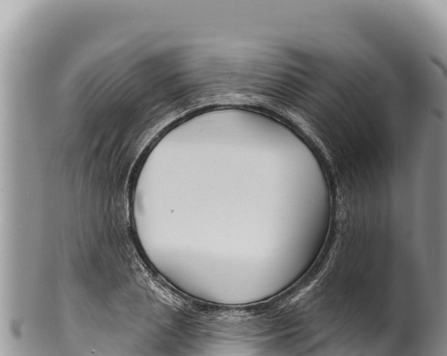 X0000100210837200806201443