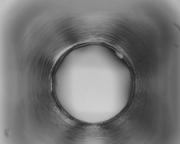 X0000100210838200806201443