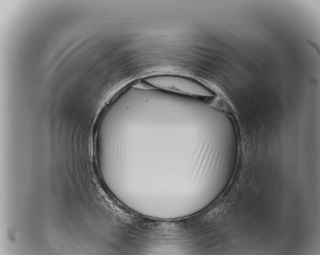 X0000100210839200806201443