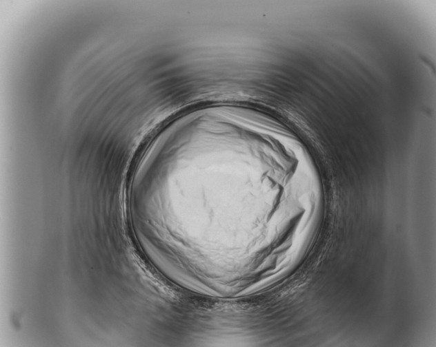 X0000100210840200806201443