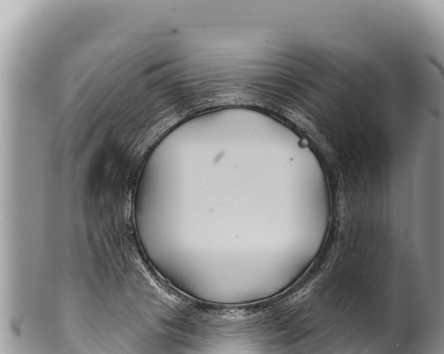 X0000100210841200806201443