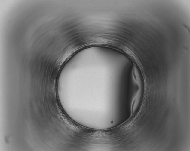 X0000100210842200806201443