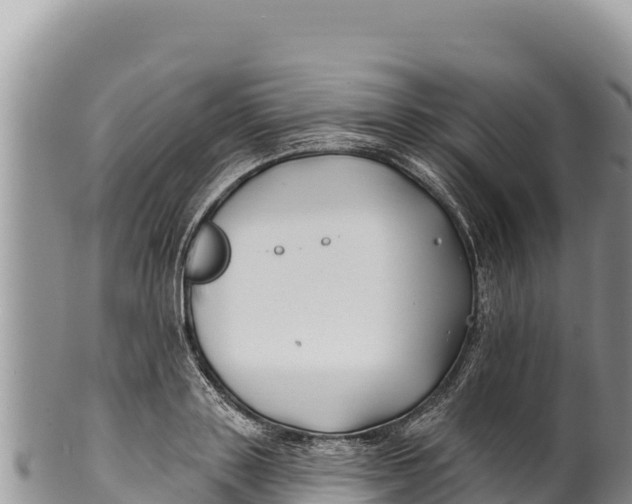 X0000100210843200806201443