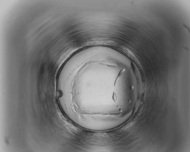 X0000100210844200806201443