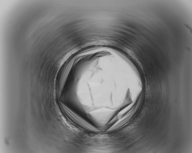 X0000100210845200806201443