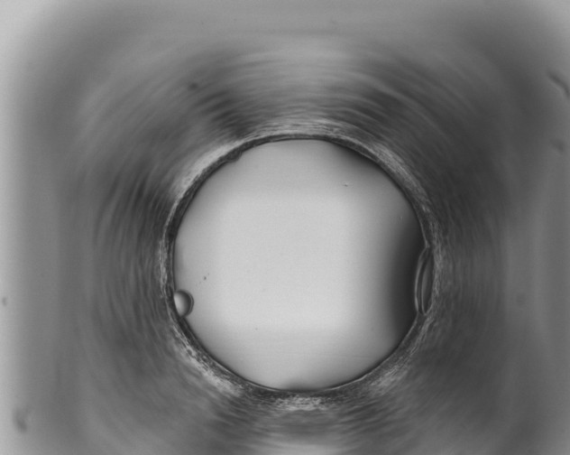 X0000100210846200806201443