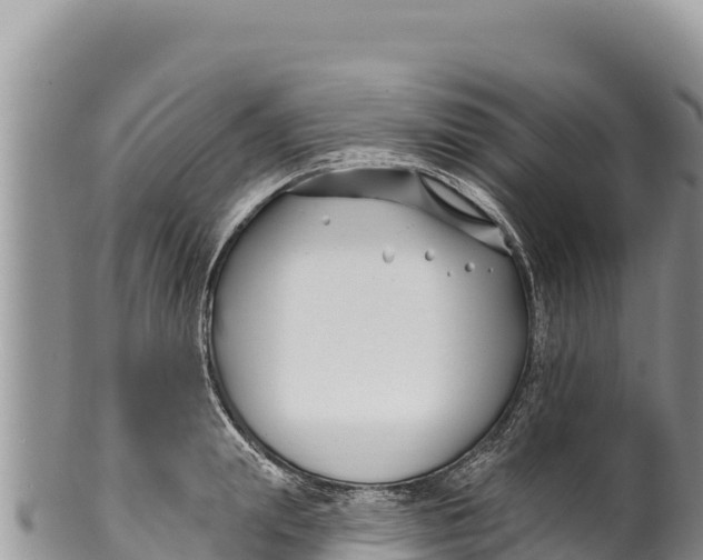 X0000100210847200806201443