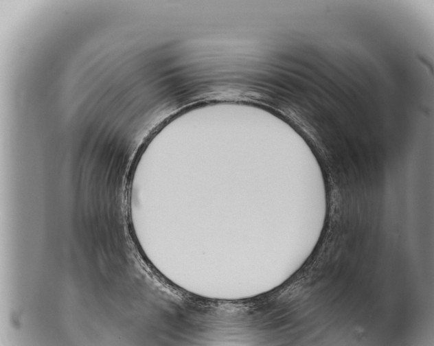 X0000100210848200806201443