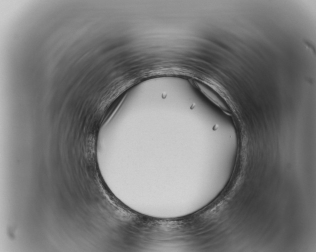 X0000100210849200806201443