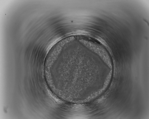 X0000100210850200806201443