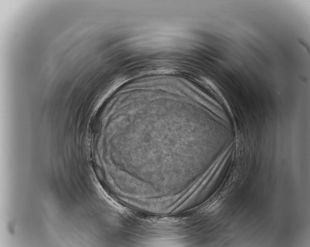 X0000100210851200806201443