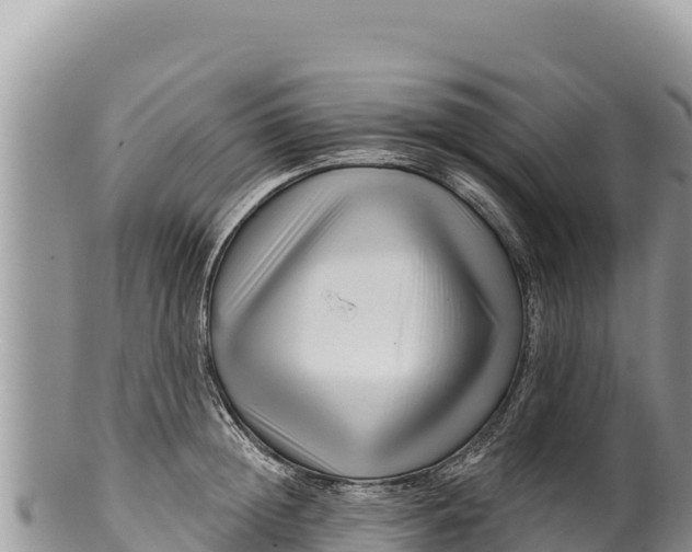 X0000100210852200806201443