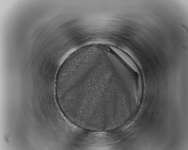 X0000100210853200806201443