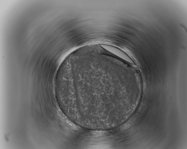 X0000100210854200806201443