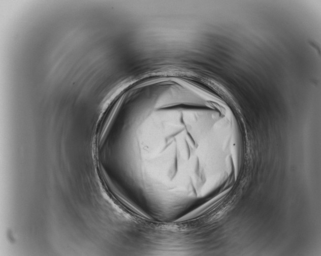 X0000100210855200806201443