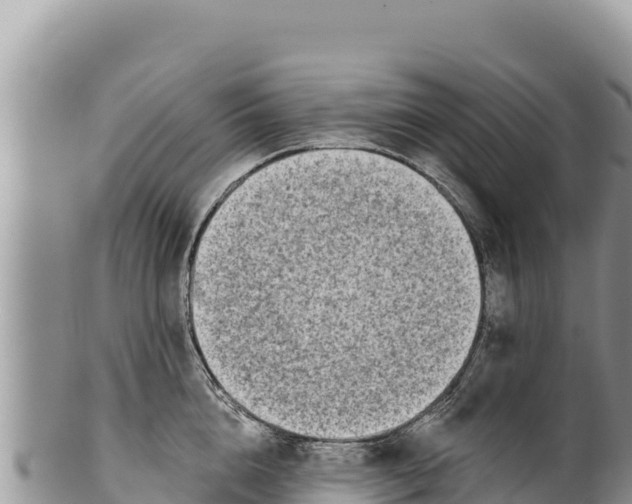 X0000100210856200806201443