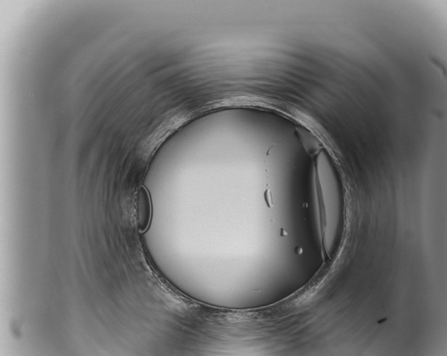 X0000100210857200806201443