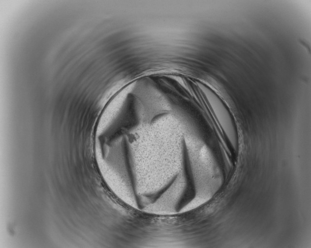 X0000100210858200806201443