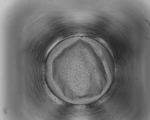 X0000100210859200806201443