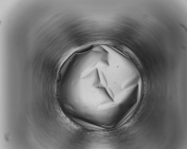 X0000100210860200806201443