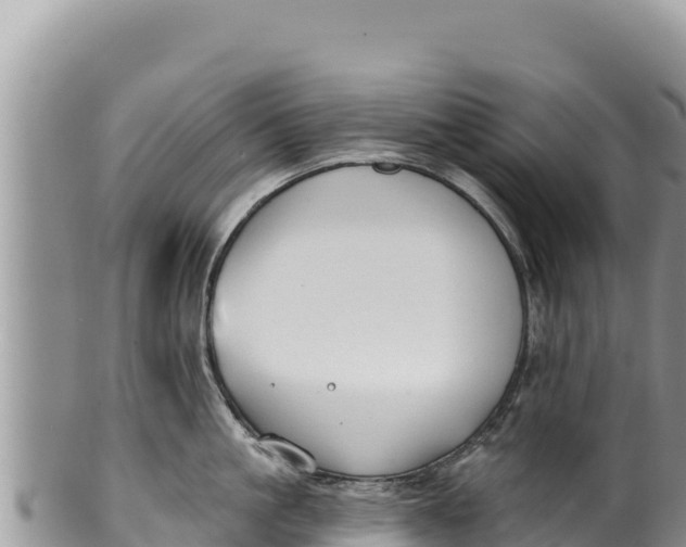 X0000100210861200806201443