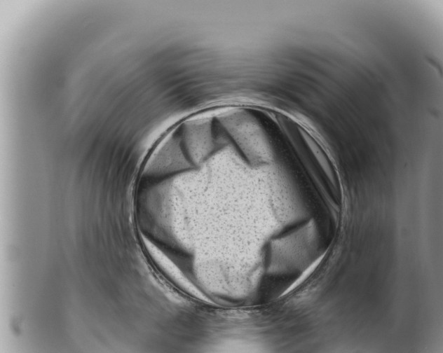 X0000100210862200806201443