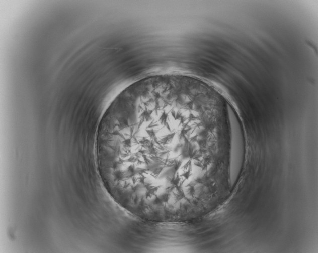 X0000100210863200806201443