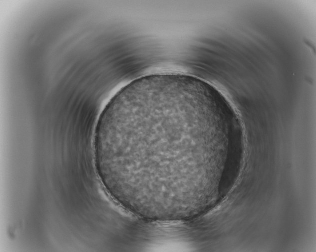 X0000100210864200806201443