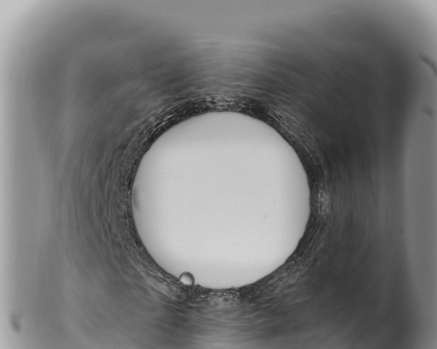 X0000100210865200806201443