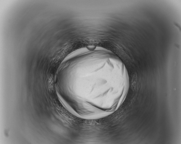 X0000100210866200806201443