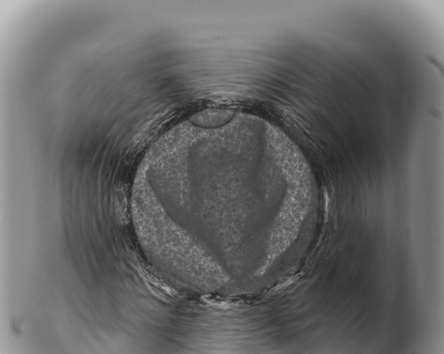 X0000100210868200806201443