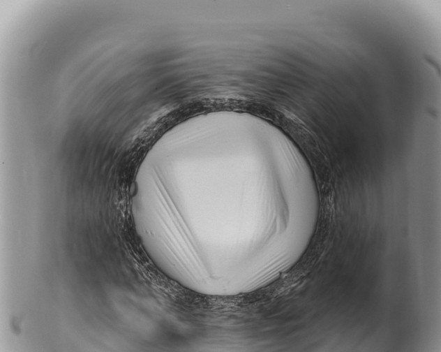 X0000100210870200806201443