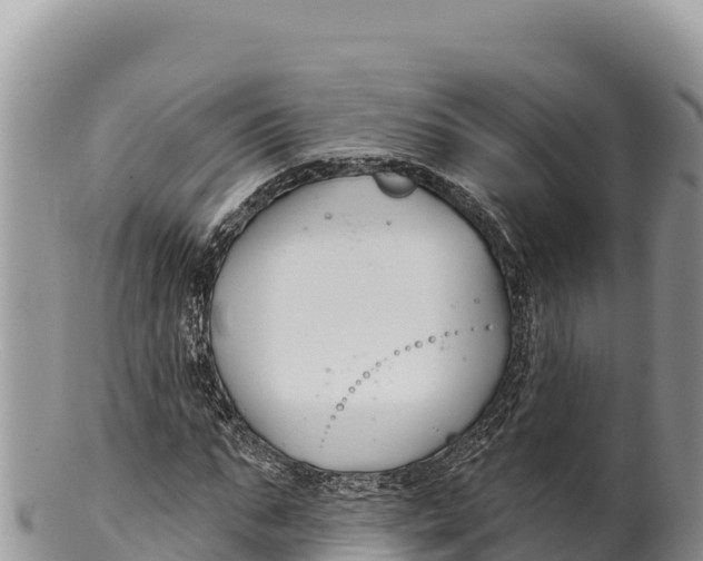 X0000100210871200806201443