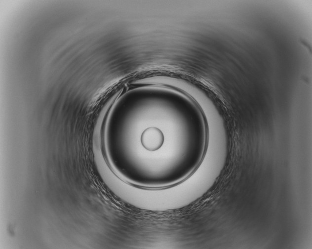 X0000100210872200806201443