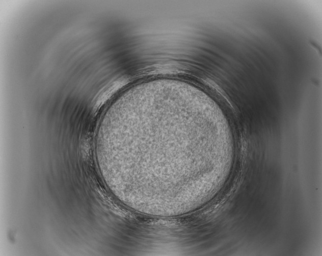 X0000100210874200806201442