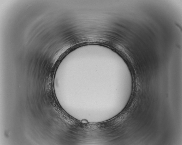 X0000100210875200806201442