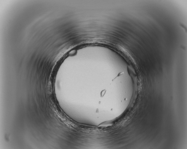 X0000100210876200806201442