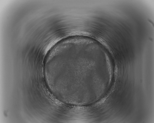 X0000100210877200806201442