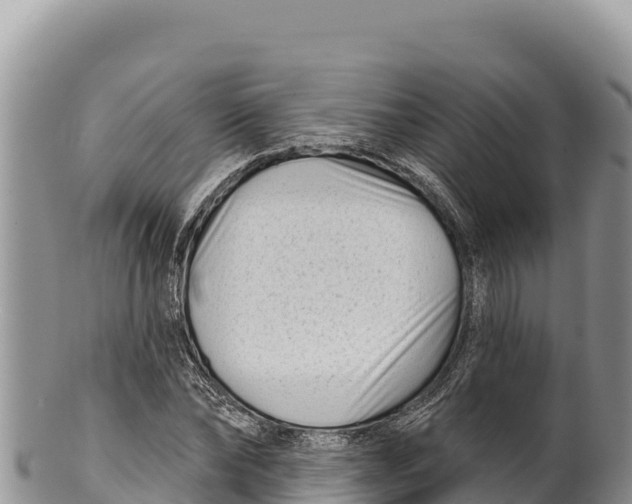 X0000100210878200806201442